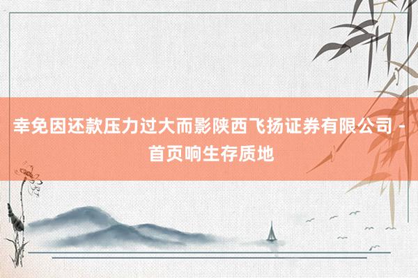 幸免因还款压力过大而影陕西飞扬证券有限公司 - 首页响生存质地